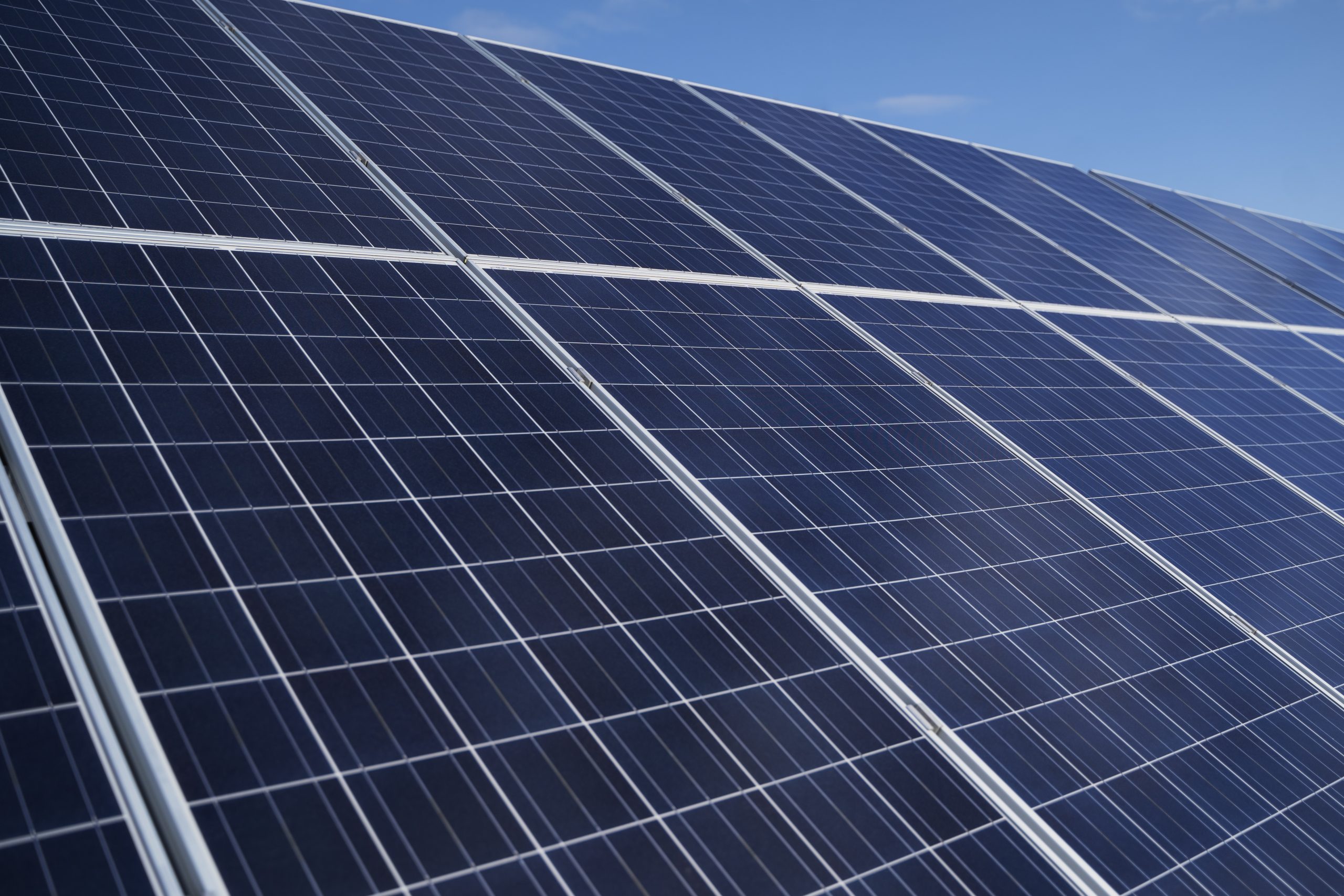 Ensemble de panneaux photovoltaïques disposés à faible angle sous un ciel bleu.